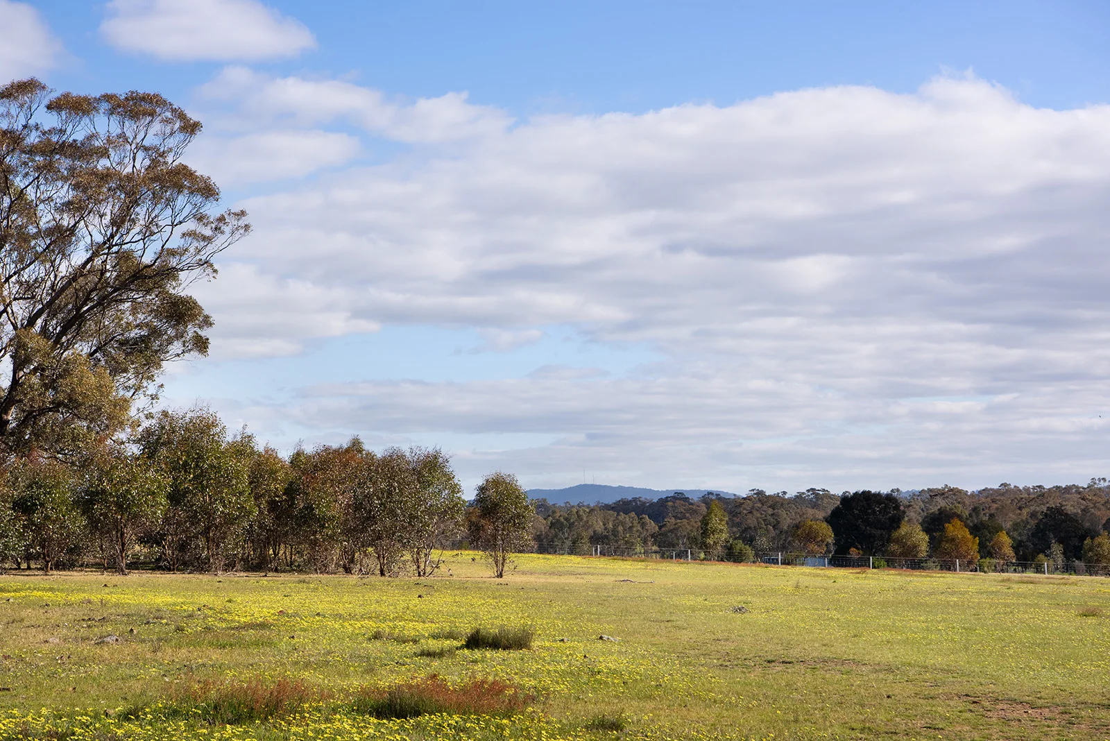 Additional image 3 of 4 Axe Creek Road, Axe Creek VIC 3551