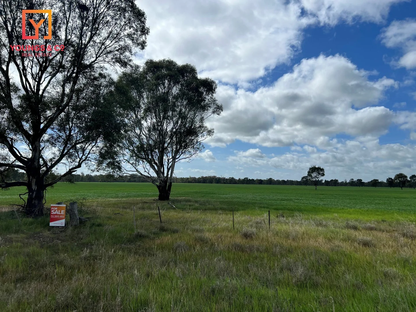 Additional image 2 of 1-4/4583 Murray Valley Highway, Kotupna VIC 3638