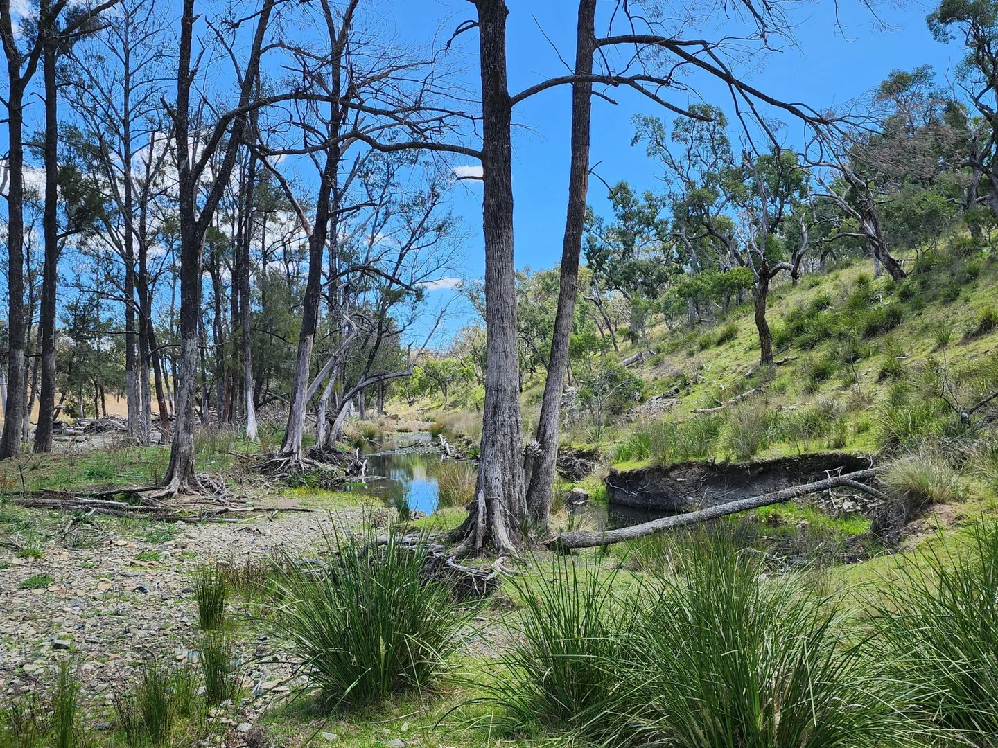 Lot 2 Stanthorpe Texas Road, Stanthorpe QLD 4380
