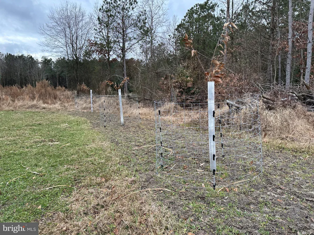 Additional image 6 of Owens Road, Greenwood, DE 19950