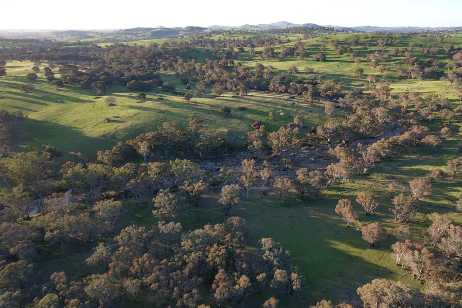 Additional image 12 of 0 Glengarry Road, Binalong NSW 2584