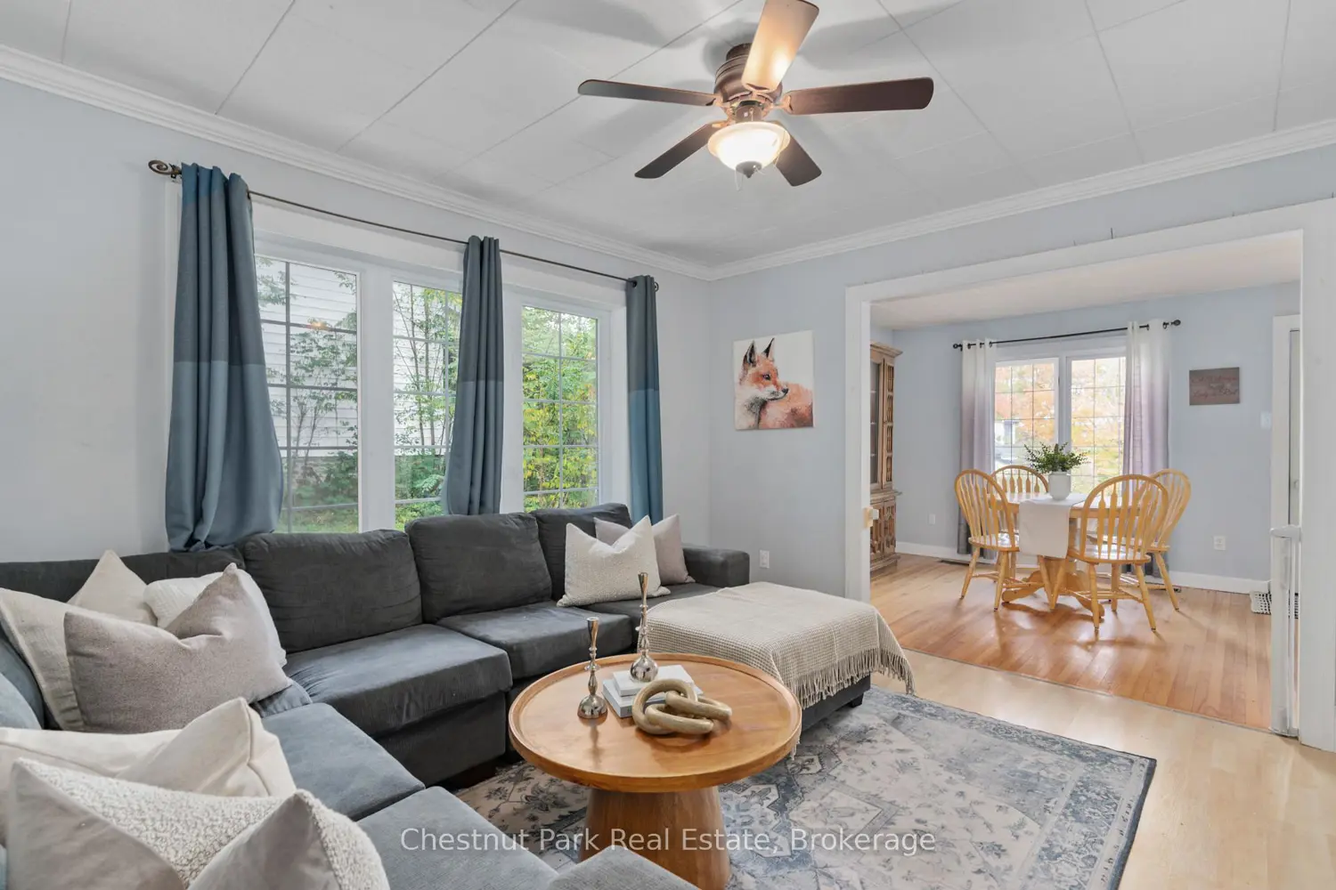 Additional image 4 of 3 Cora Street