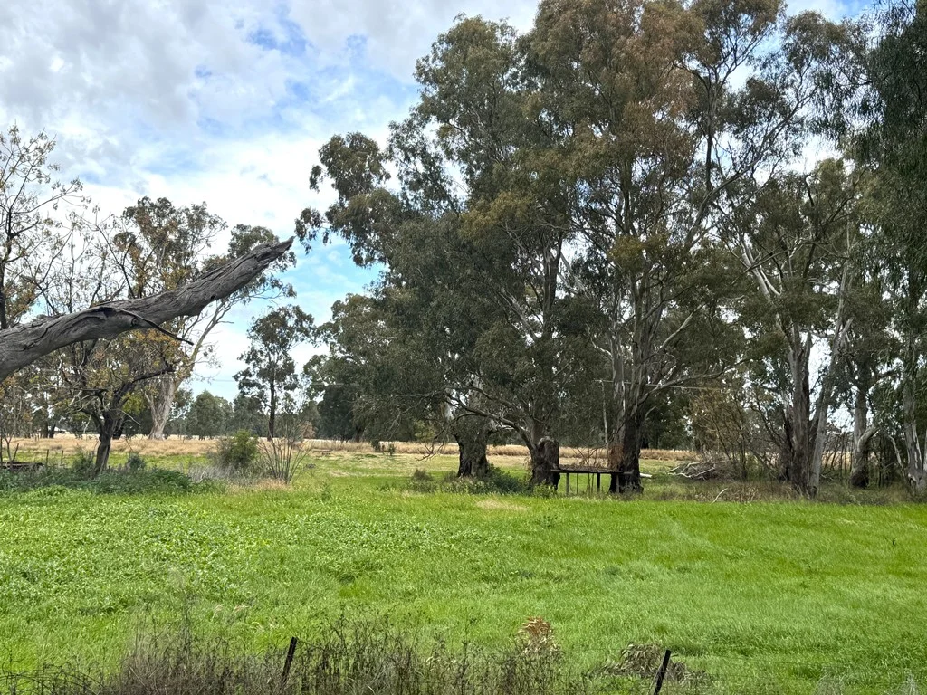 Additional image 3 of 200 Lower Miller Street, Gilgandra NSW 2827