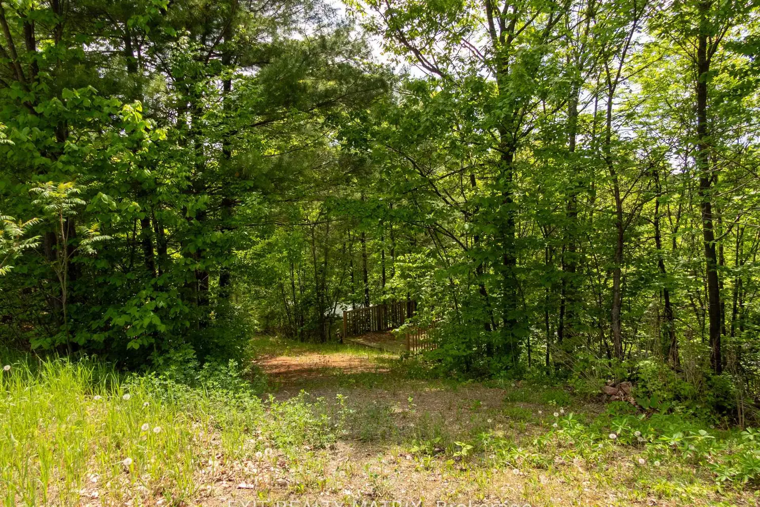 Additional image 3 of 12654 Lanark Road