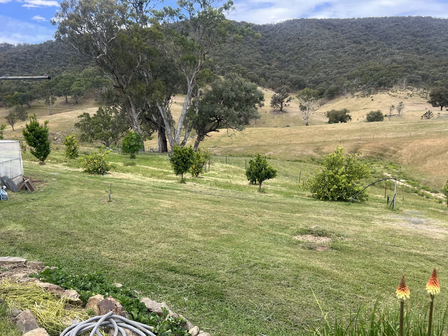 Additional image 5 of Lot 31 Lehmans Road, Talgarno VIC 3691