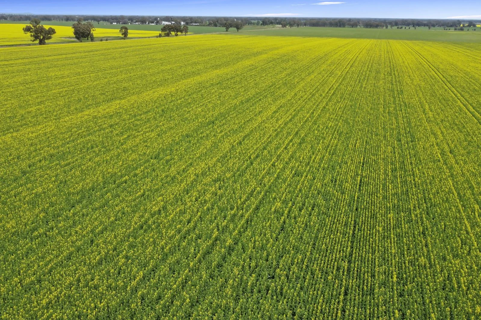 Additional image 8 of . Nihill Road, Elmore VIC 3558