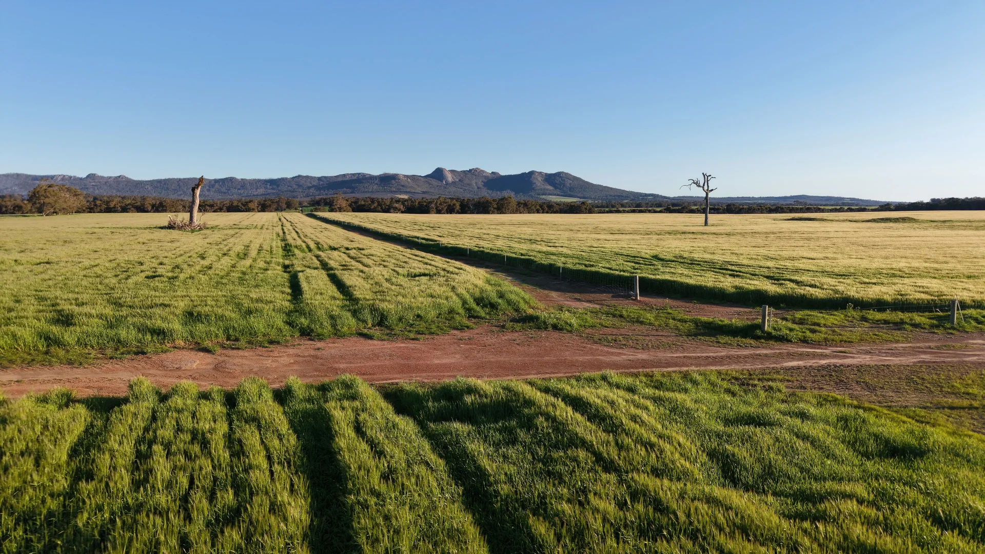 Additional image 21 of 491 Knight Road, Porongurup WA 6324