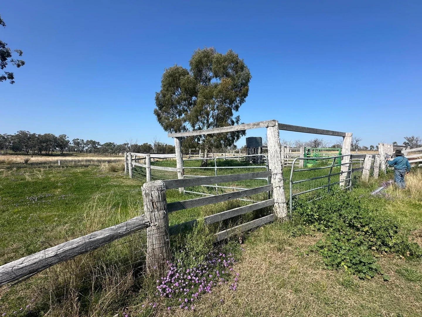 Additional image 13 of "Coolendoon" 810 The Pocket Road, Bukkulla NSW 2360