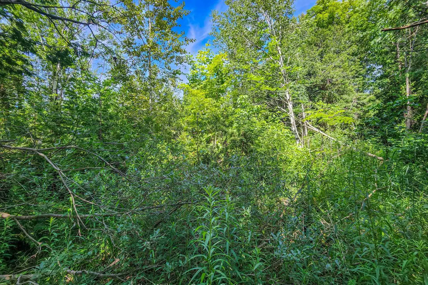 Additional image 6 of 151 Mallard Street