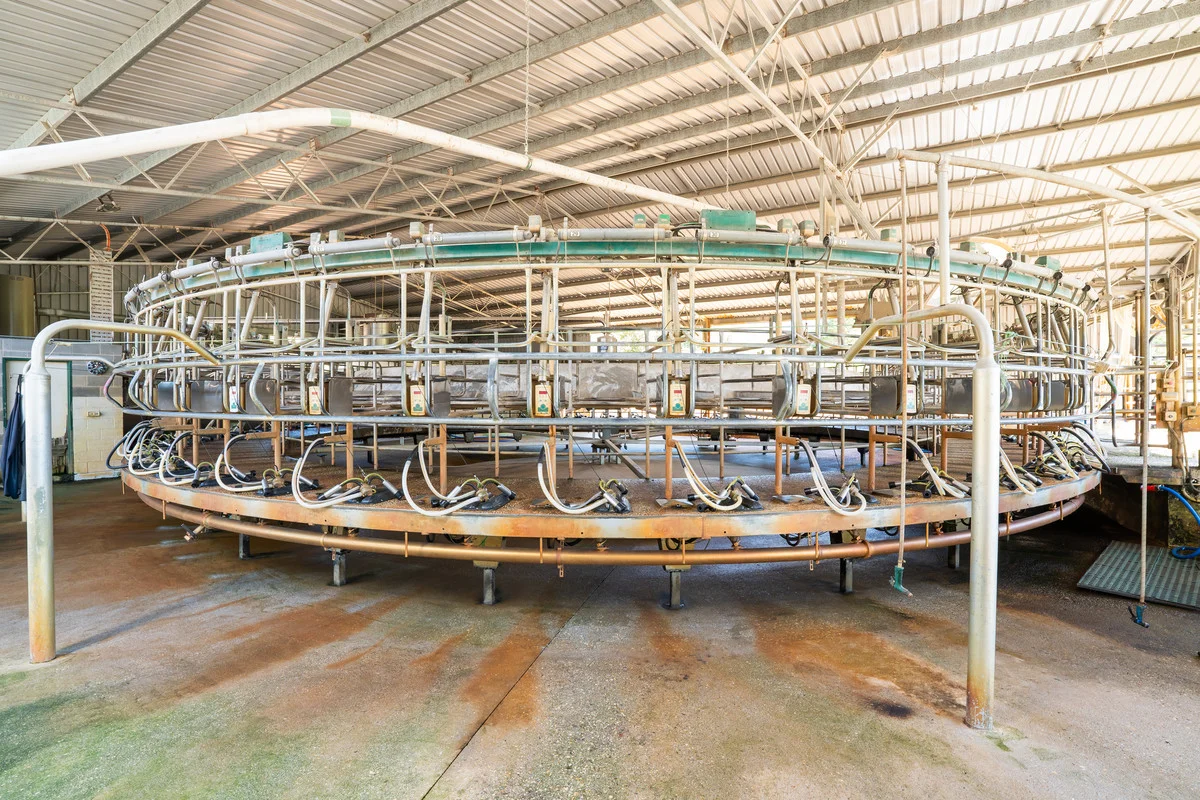 Additional image 26 of 3082 Omeo Highway, Tallandoon VIC 3701