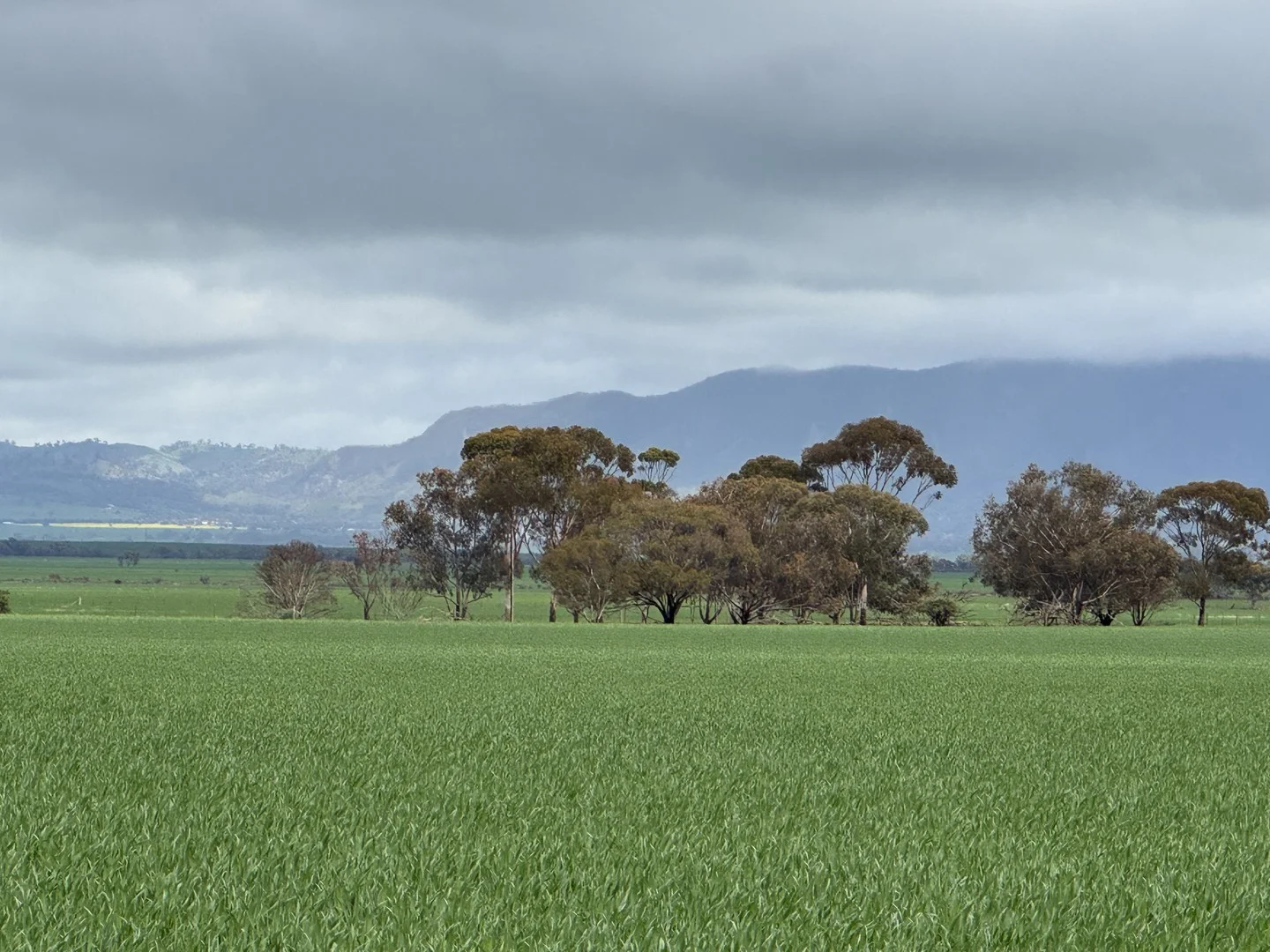 434 Schmidt Road, Willowie SA 5431