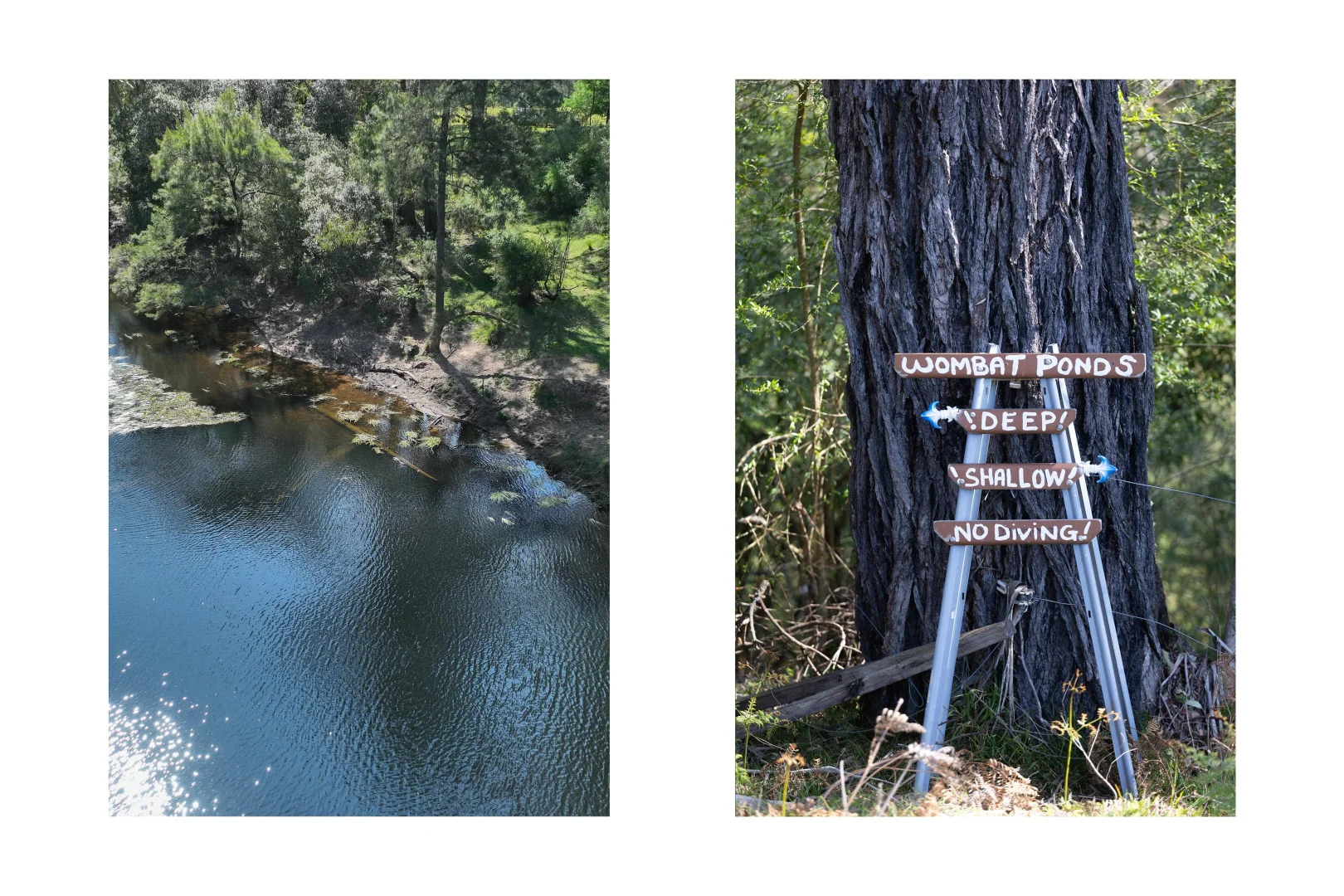 Additional image 37 of 1813 The River Road 'Strathclyde', Brooman NSW 2538