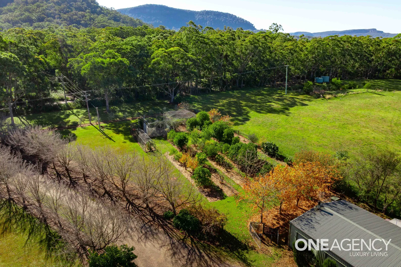 Additional image 21 of 353 Bendeela Road, Kangaroo Valley NSW 2577
