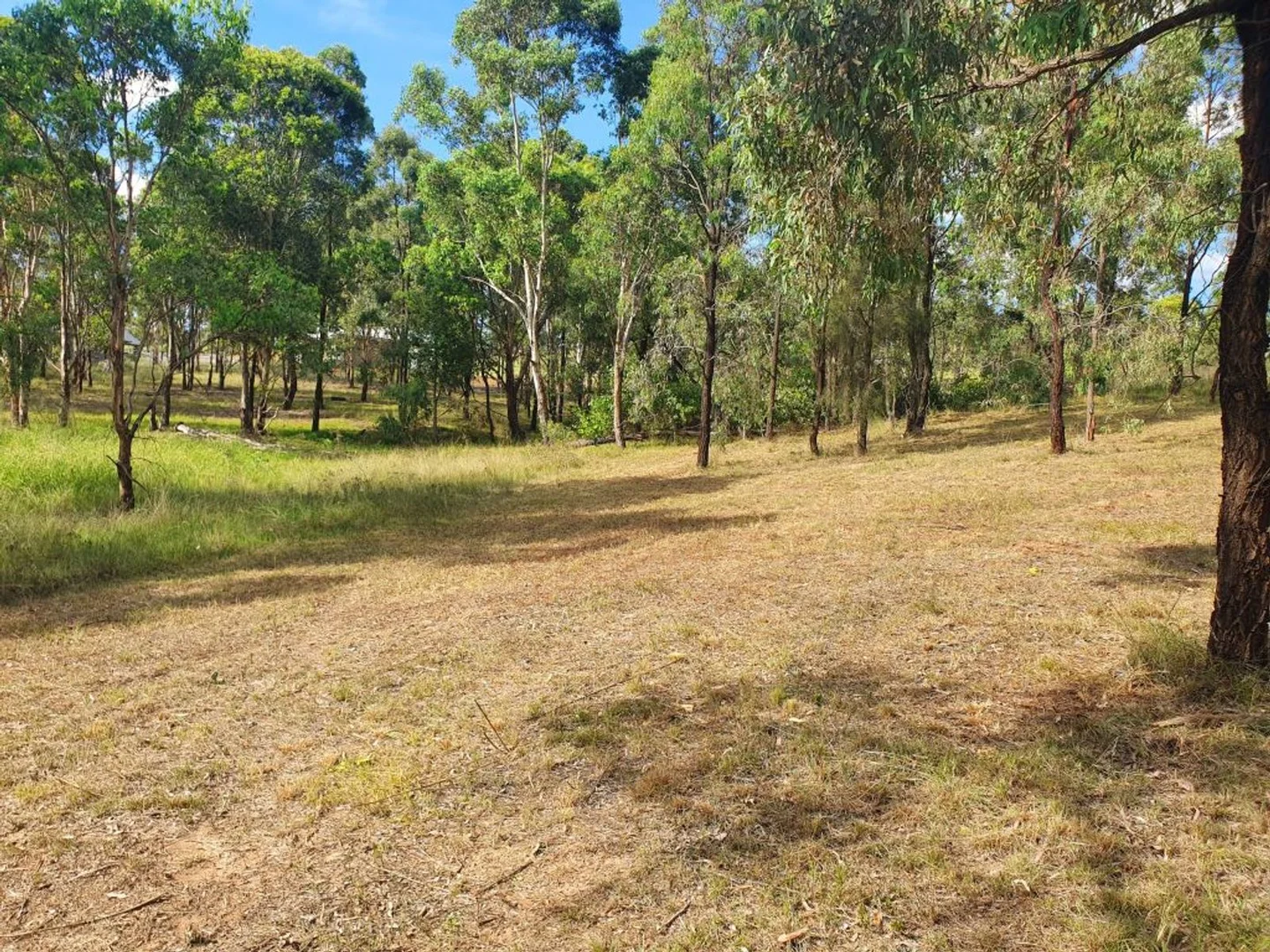 Additional image 11 of 14 Stockyard Parade, Muswellbrook NSW 2333