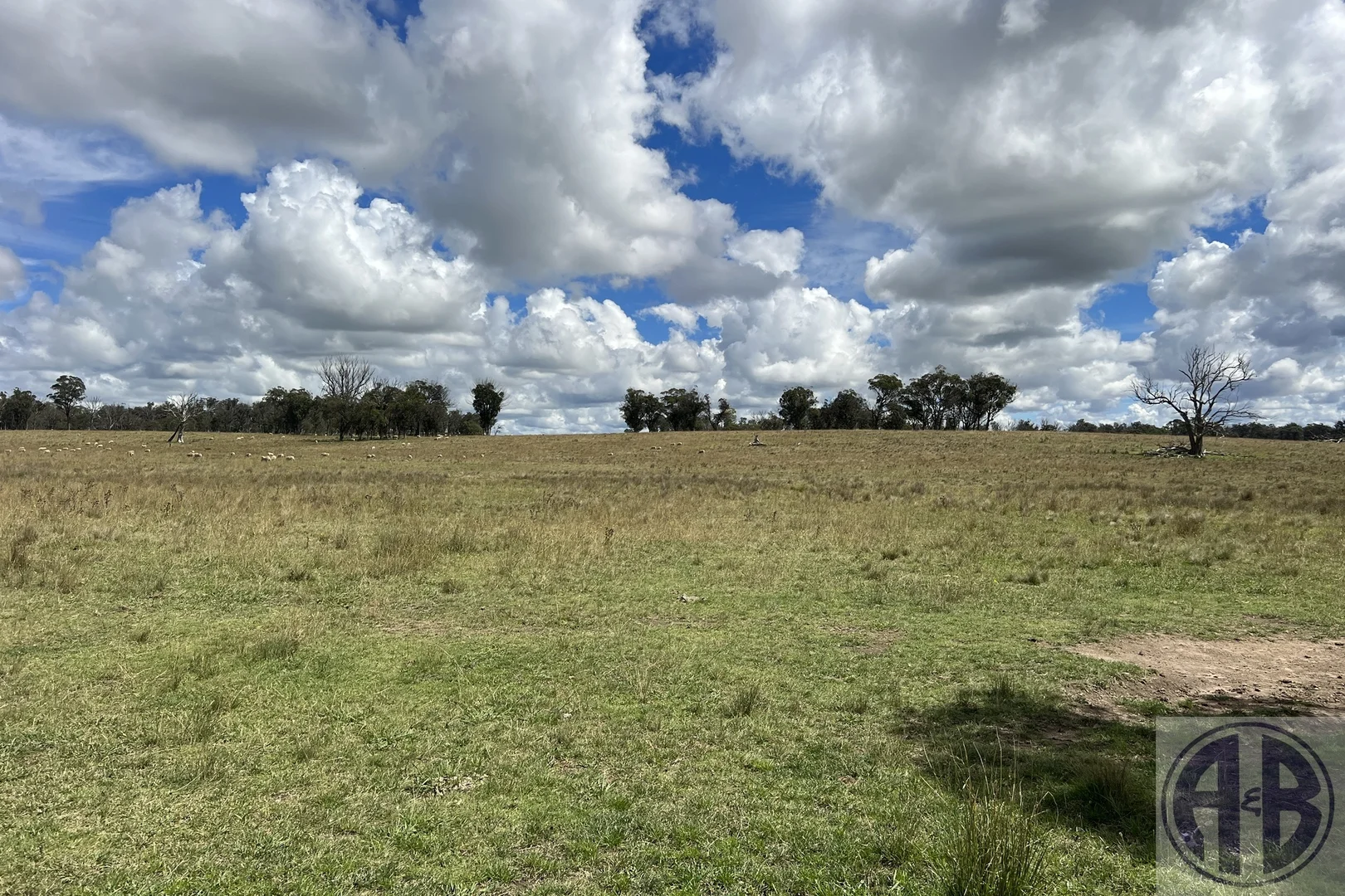 Additional image 4 of Uralla NSW 2358