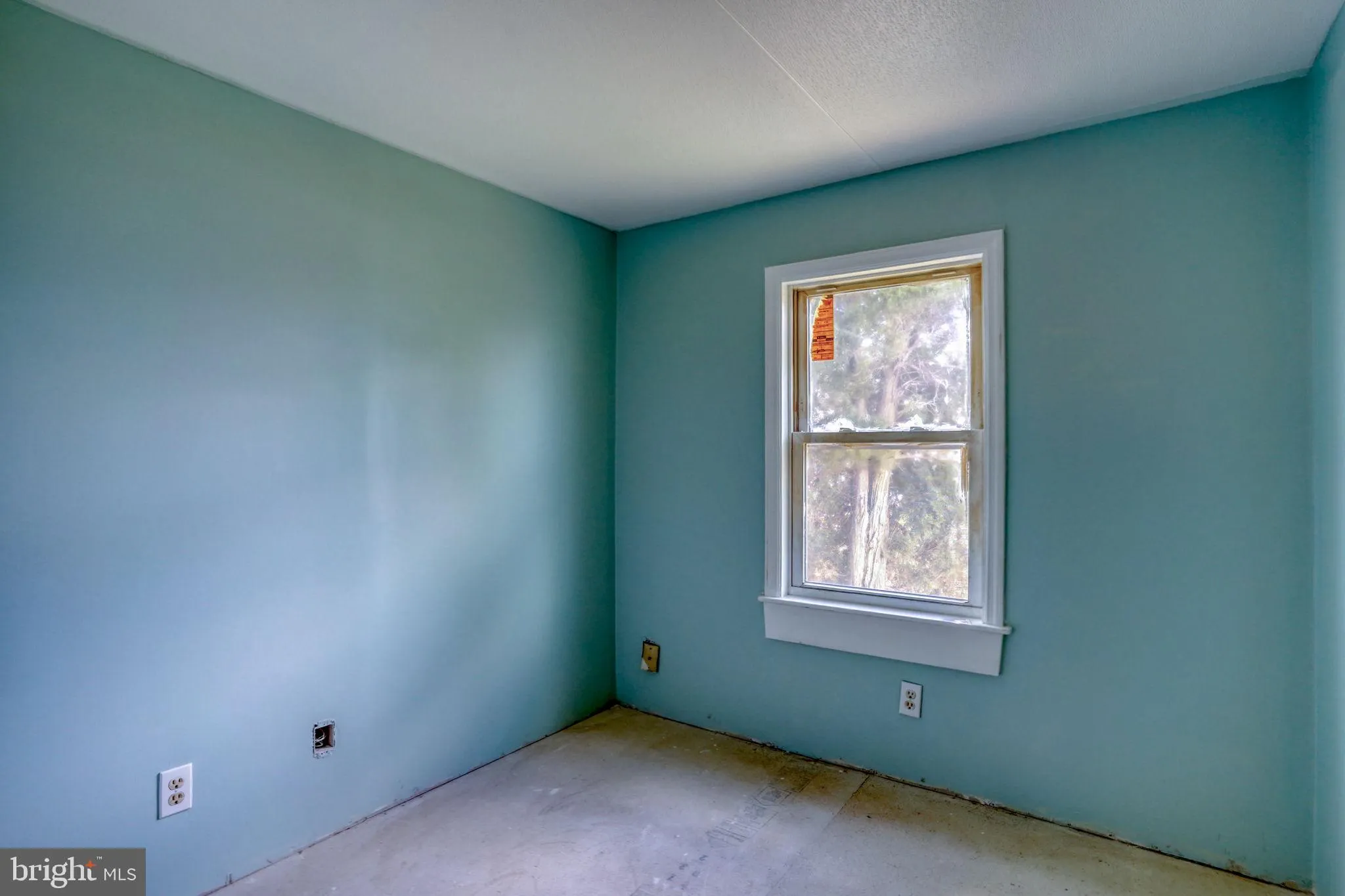 Additional image 62 of 2951 Bowers Beach Road, Frederica, DE 19946