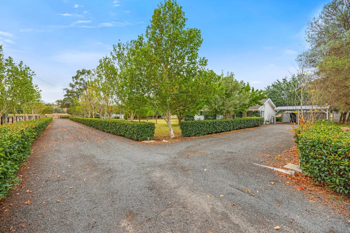 Additional image 4 of 164 Upper Dartbrook Road, Scone NSW 2337