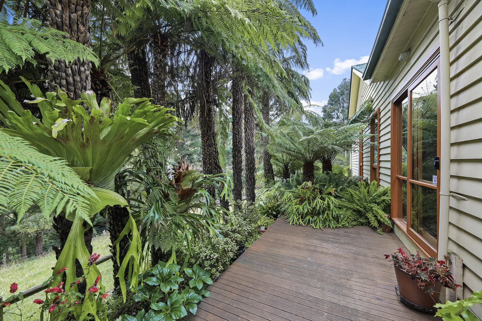 Additional image 16 of 244 Mirboo North-Trafalgar Road, Trafalgar South VIC 3824