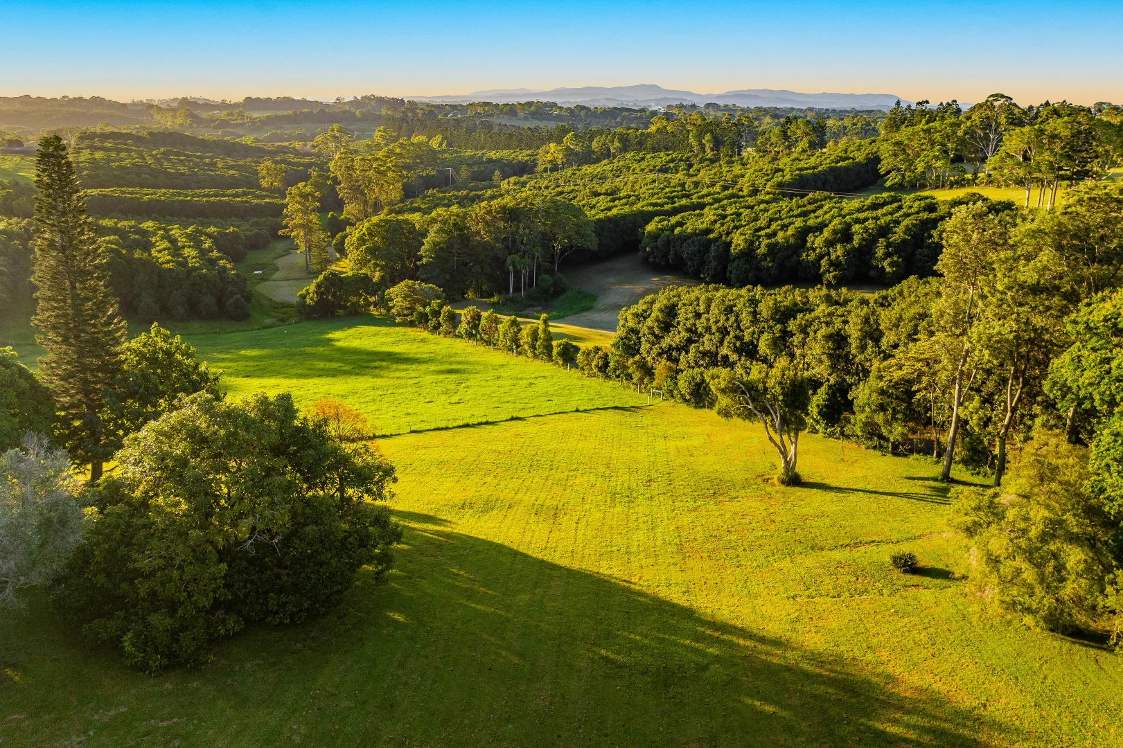 Additional image 9 of 175 Old Byron Bay Road, Newrybar NSW 2479