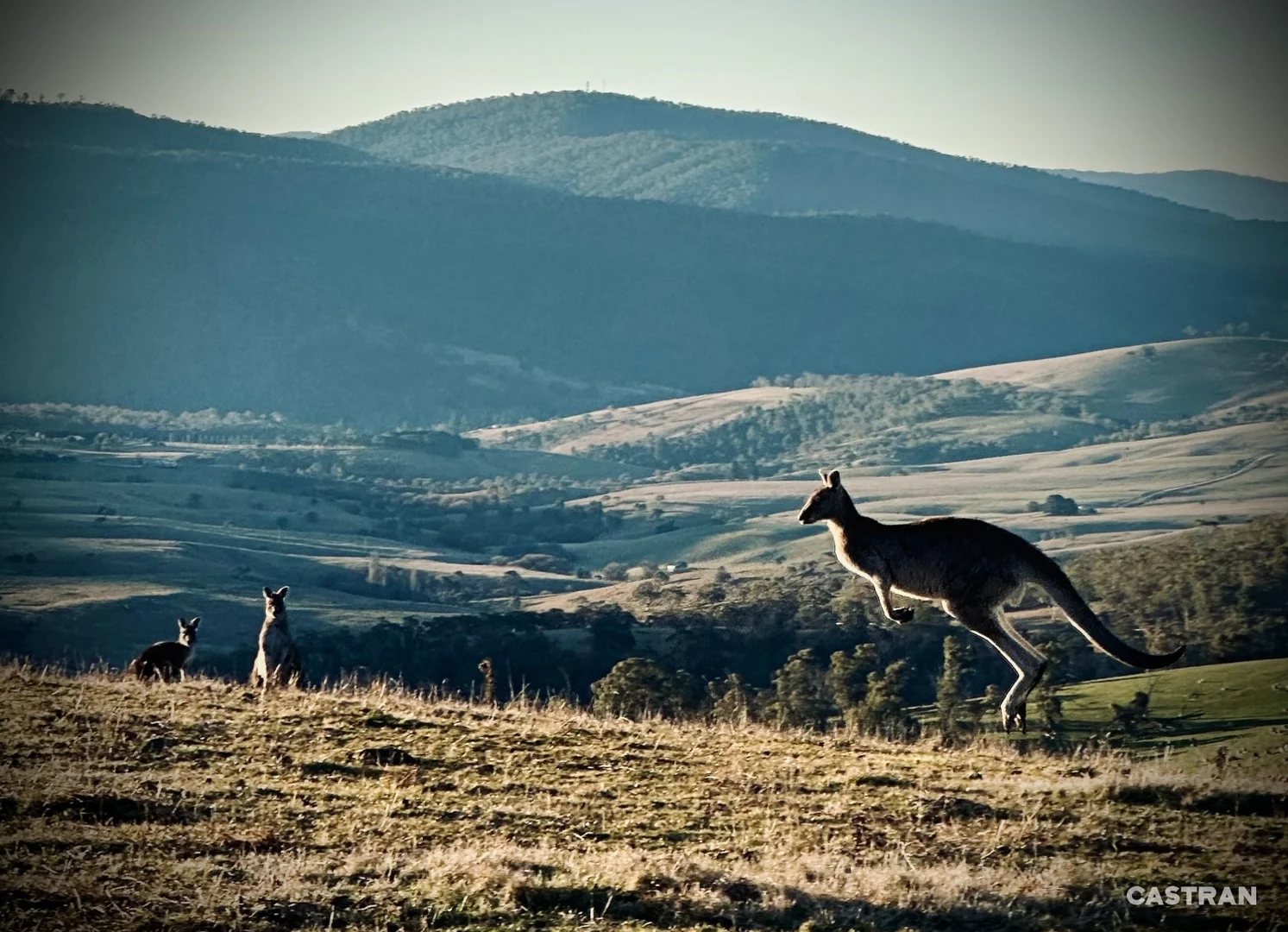Additional image 7 of 200 Leonard Drive, Omeo VIC 3898