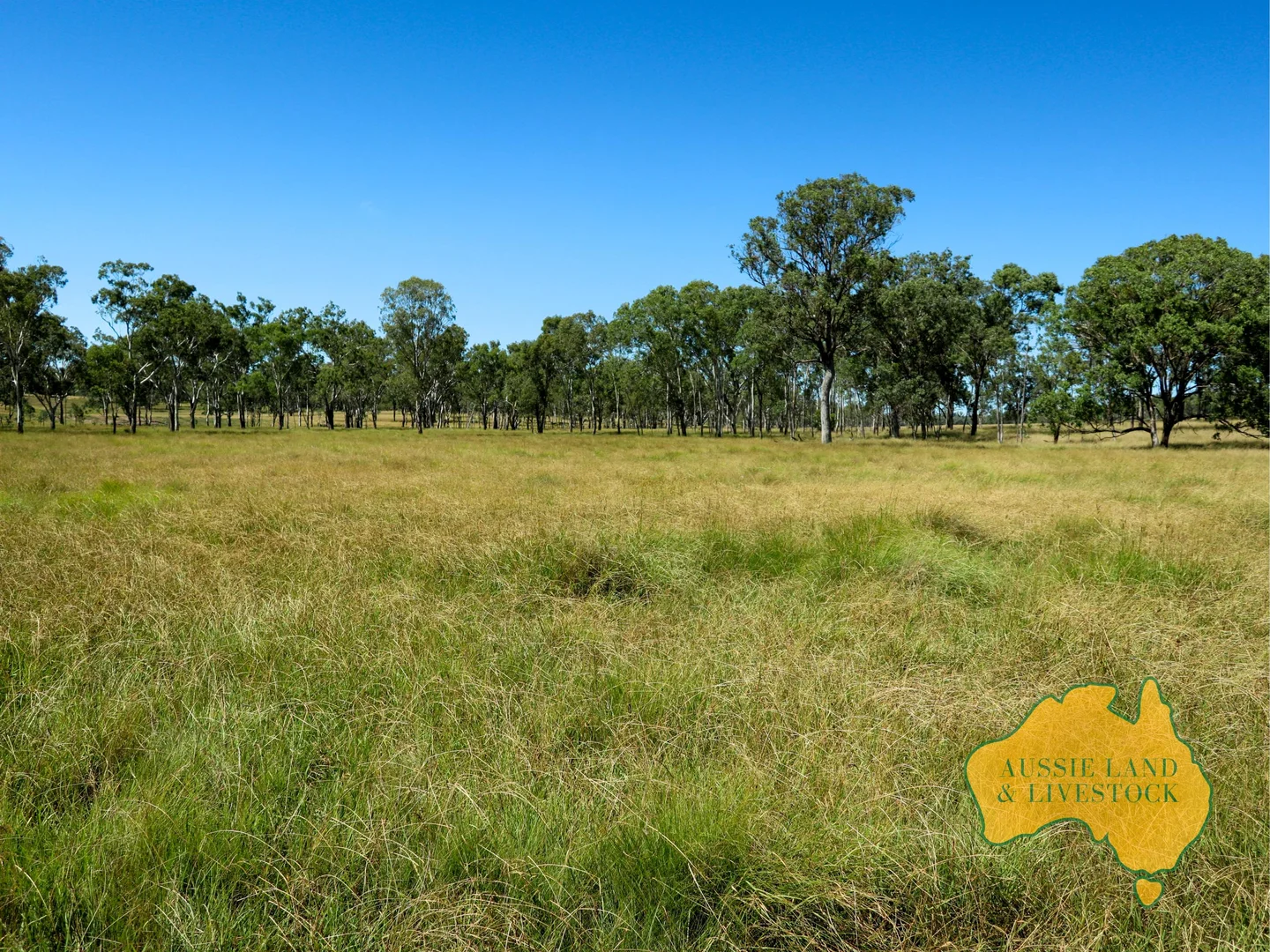 Additional image 7 of 629 Stuart Valley Drive, Haly Creek QLD 4610