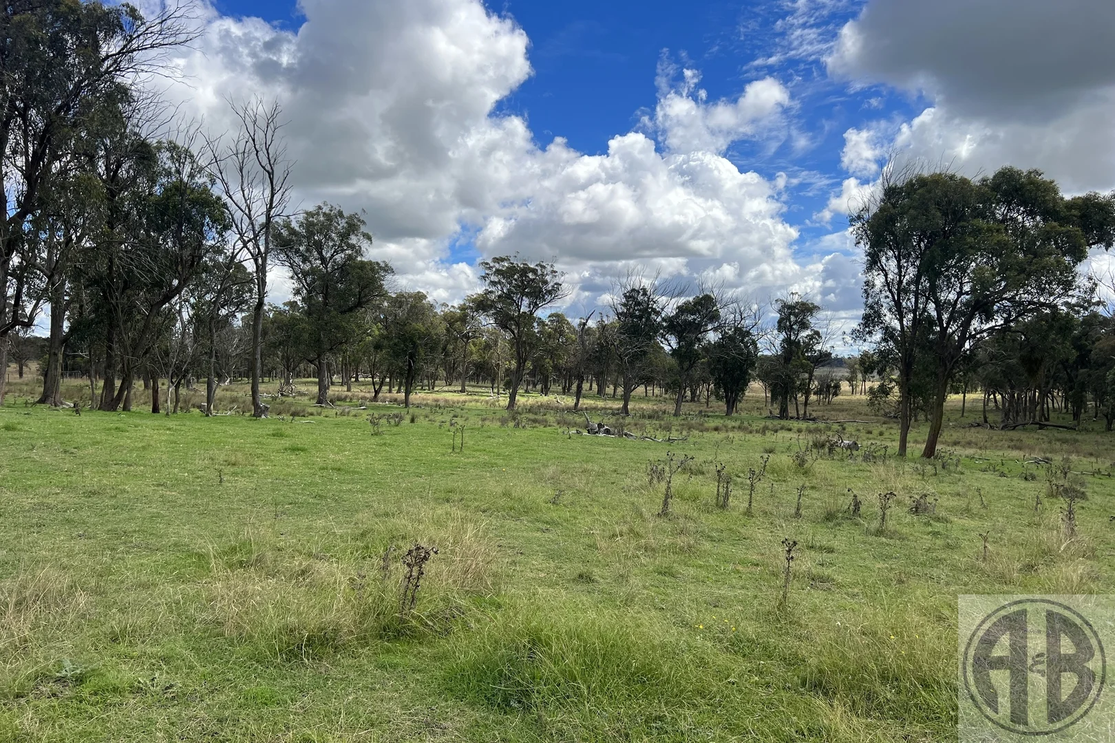 Additional image 2 of Uralla NSW 2358