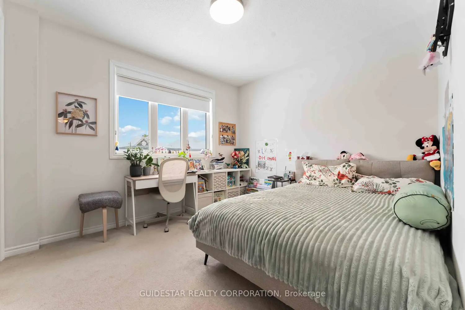 Additional image 13 of 30 Oxalis Crescent