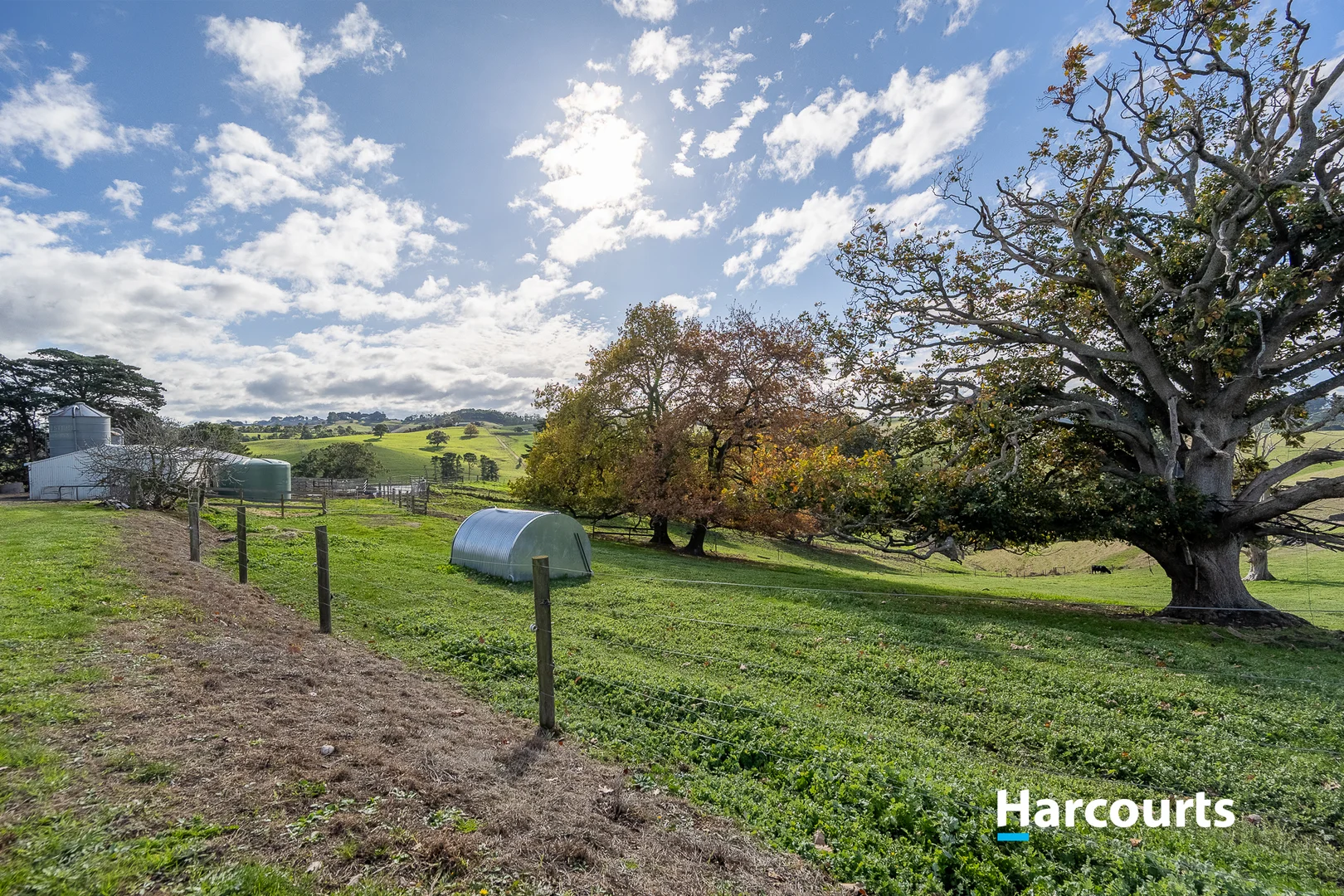 Additional image 5 of 37 Bells Road, Mount Eccles VIC 3953