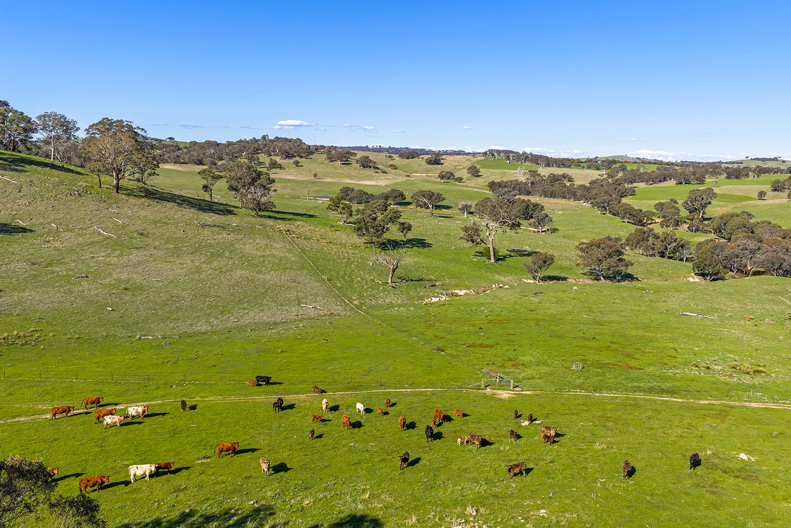 Additional image 3 of 1432 Lachlan Valley Way, Laverstock NSW 2582