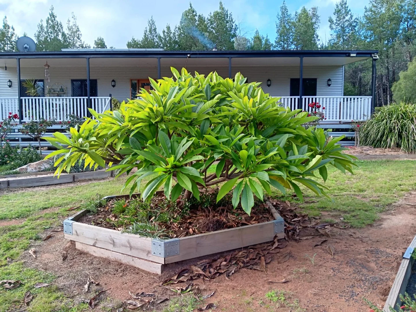 Additional image 22 of 115 Smithfield Mundoey Road, Smithlea QLD 4385
