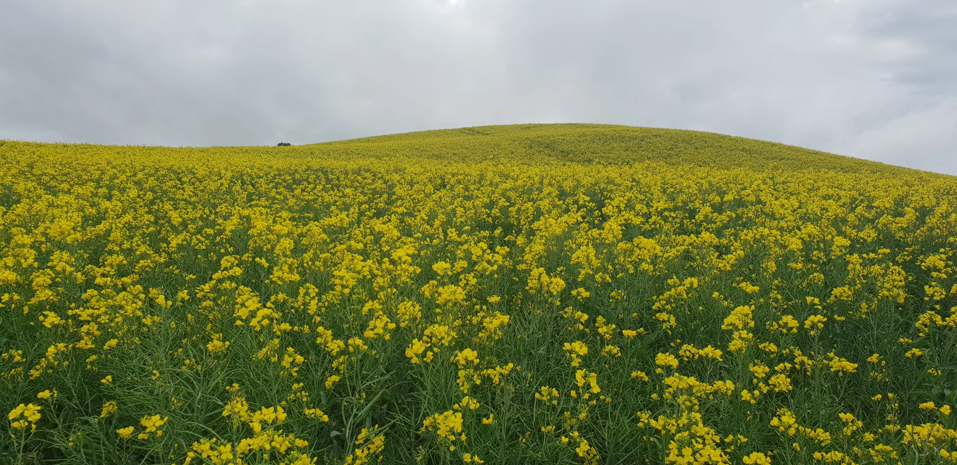 Additional image 11 of 299 Natone Road, Stowport TAS 7321