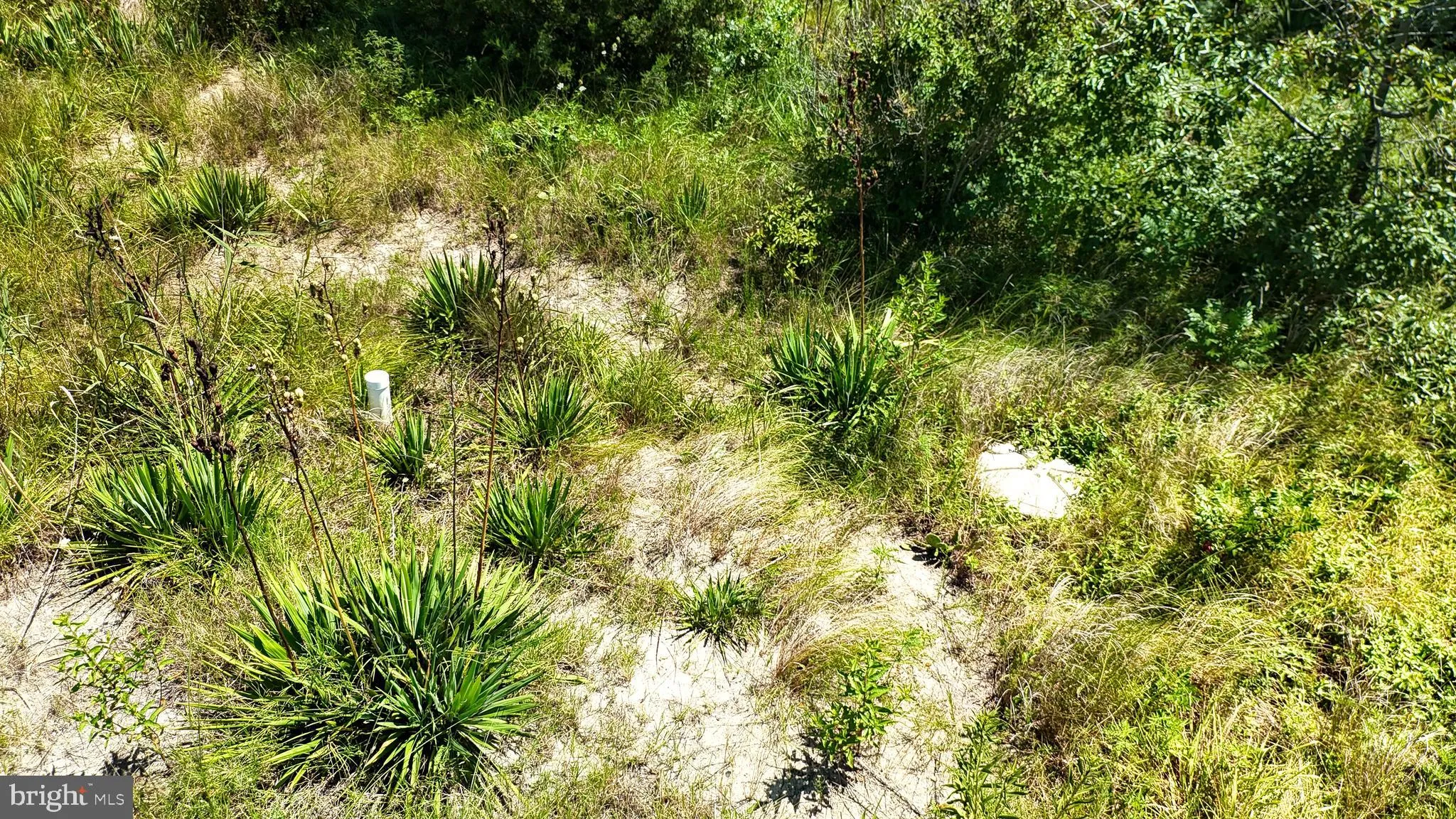 Additional image 25 of 173 S Sandpiper Drive, Dover, DE 19901