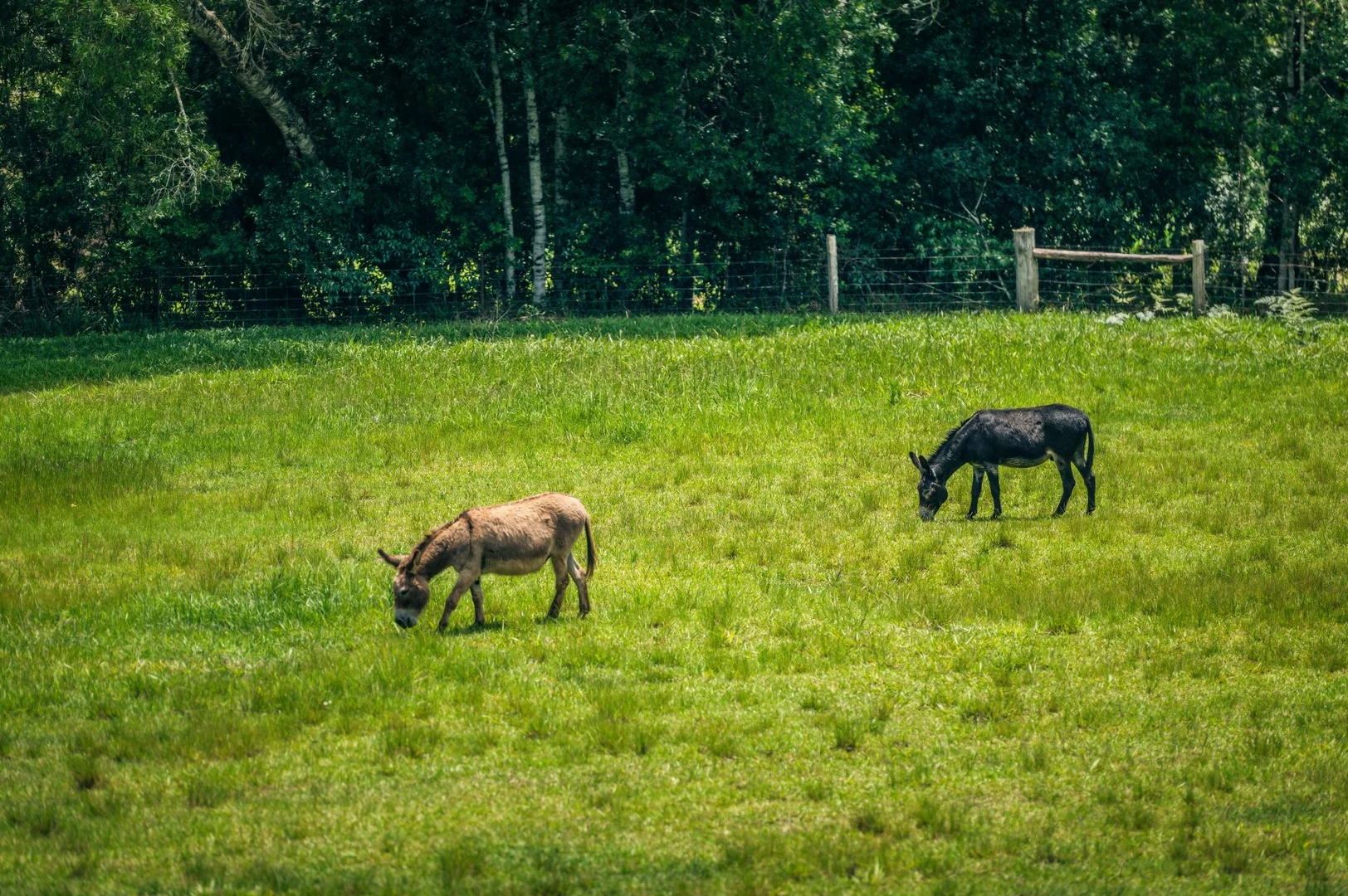 Additional image 24 of 934 Promised Land Road, Bellingen NSW 2454