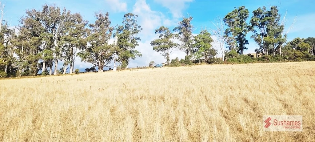 Additional image 6 of Lot 2 Storys Road, Lebrina TAS 7254