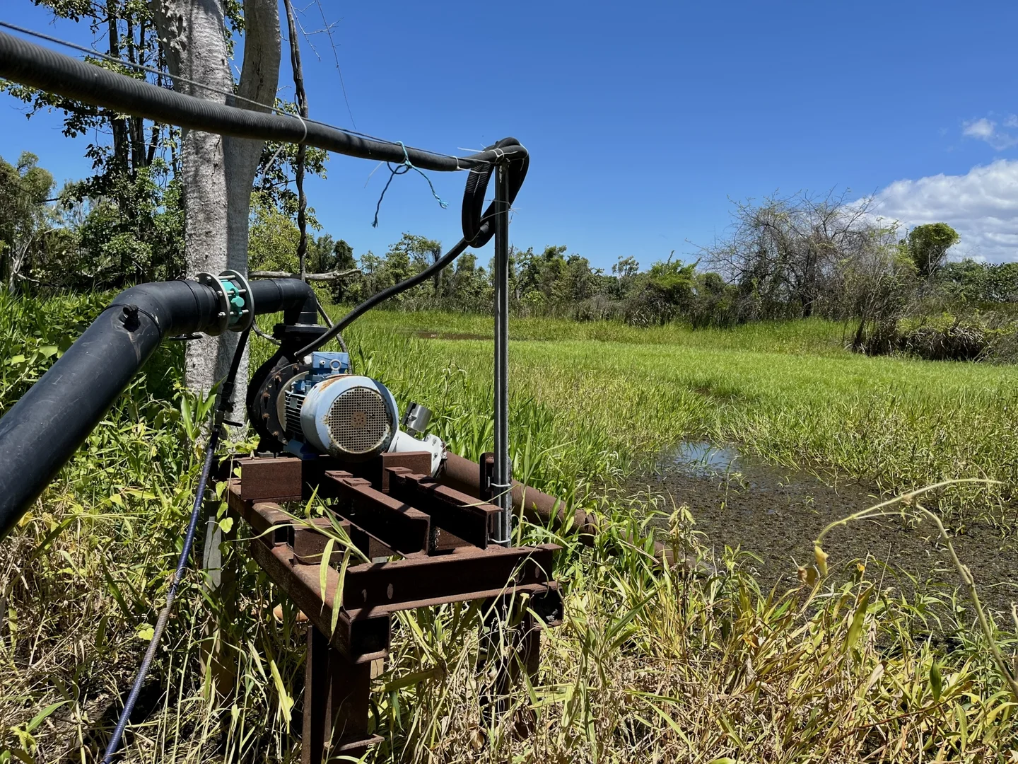Additional image 16 of 218 Oats Road, Fredericksfield QLD 4806