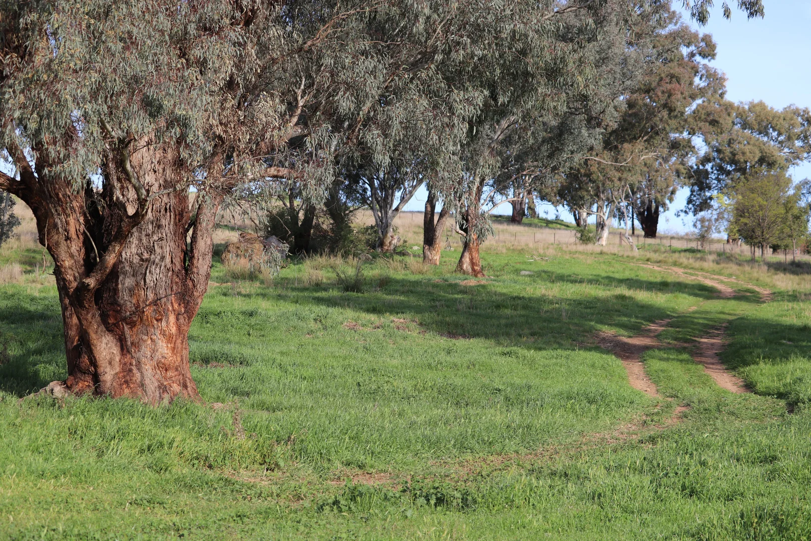 Additional image 29 of 2350 George Russell Drive, Canowindra NSW 2804