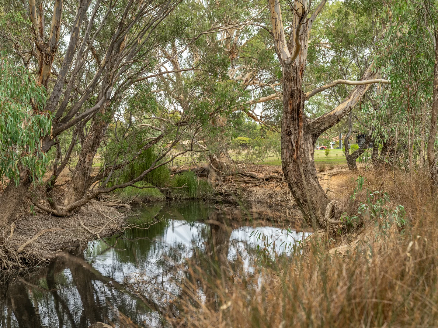 Additional image 7 of Lot 31 Wonga Park Drive, Waldara VIC 3678