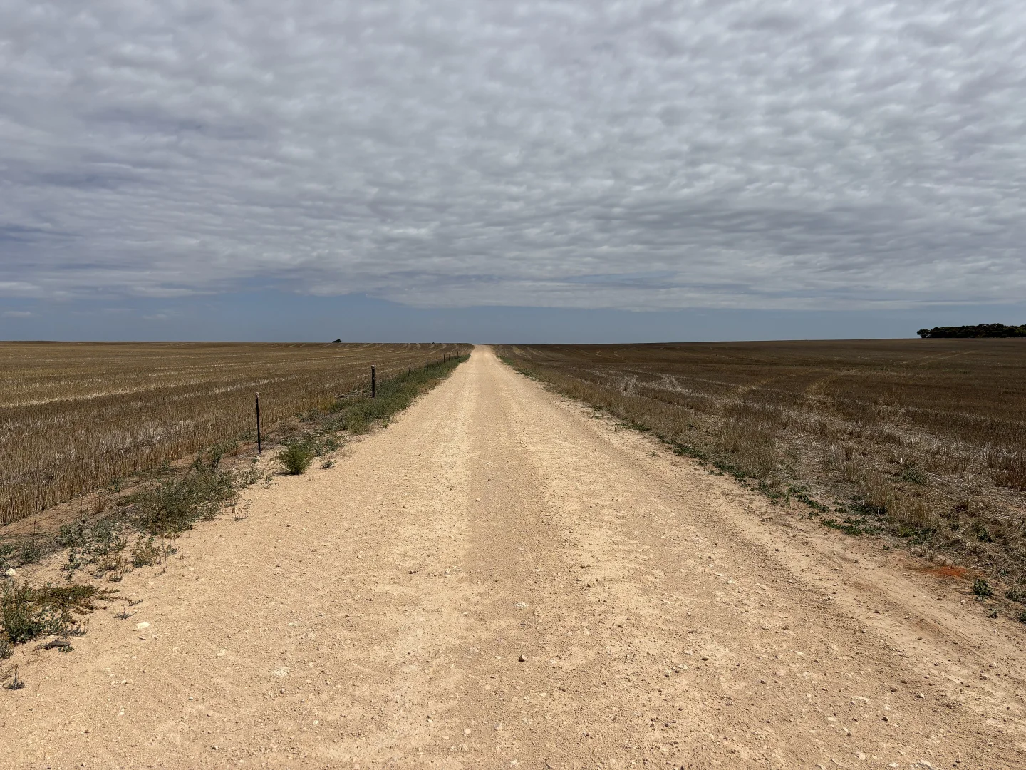 Additional image 21 of 9723 Tod Highway, Lock SA 5633