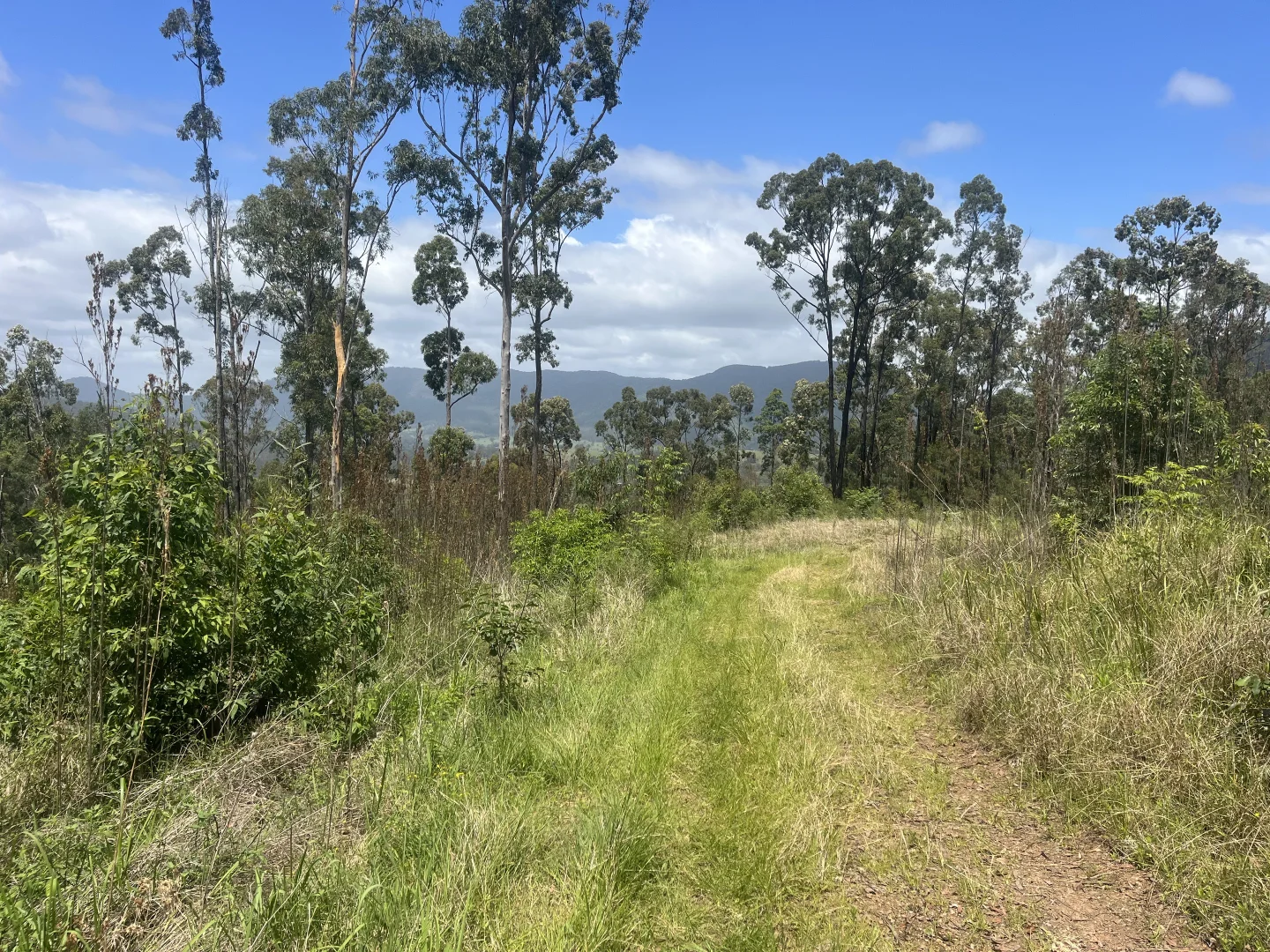 Additional image 2 of 173 Knodingbul Forest Road, Mount George NSW 2424