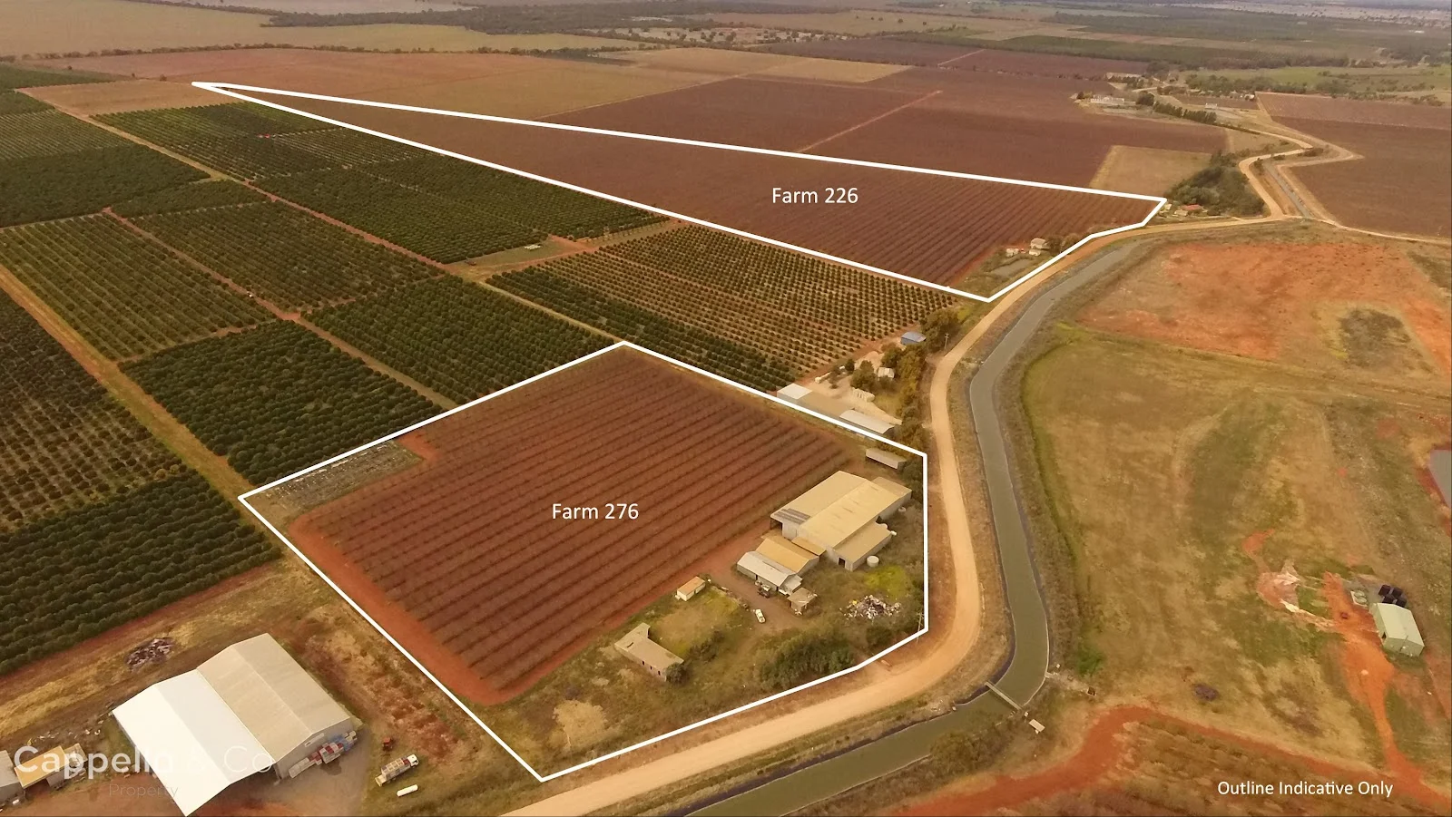 Additional image 5 of 226 & 276 New Farms Road, Nericon NSW 2680