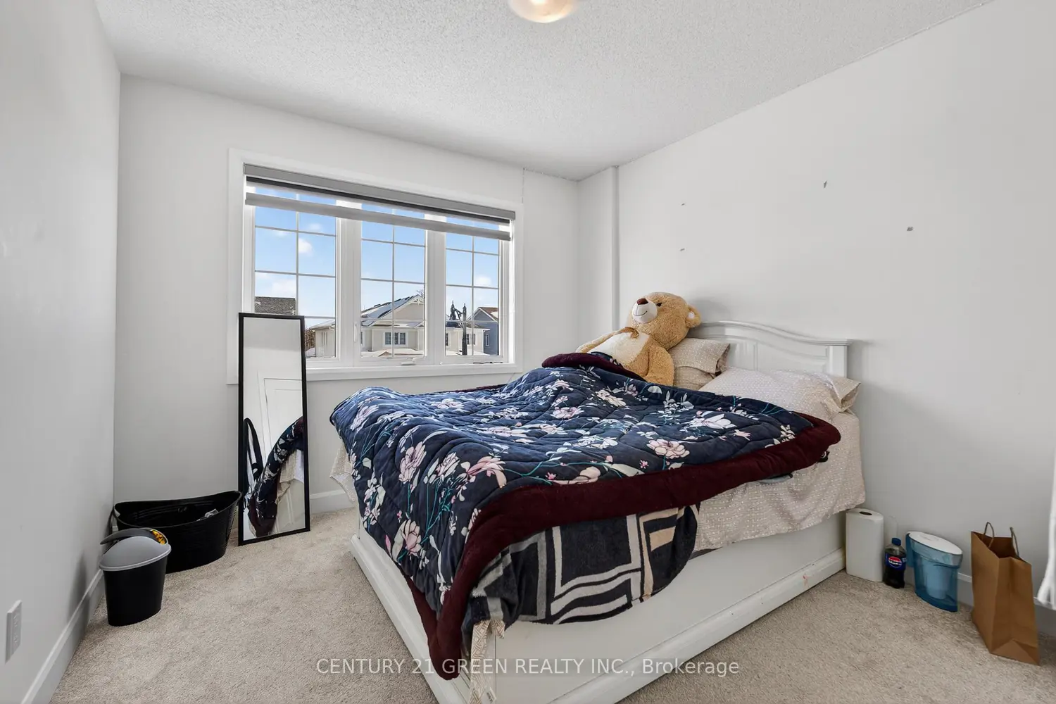 Additional image 8 of 353 Buckthorn Drive