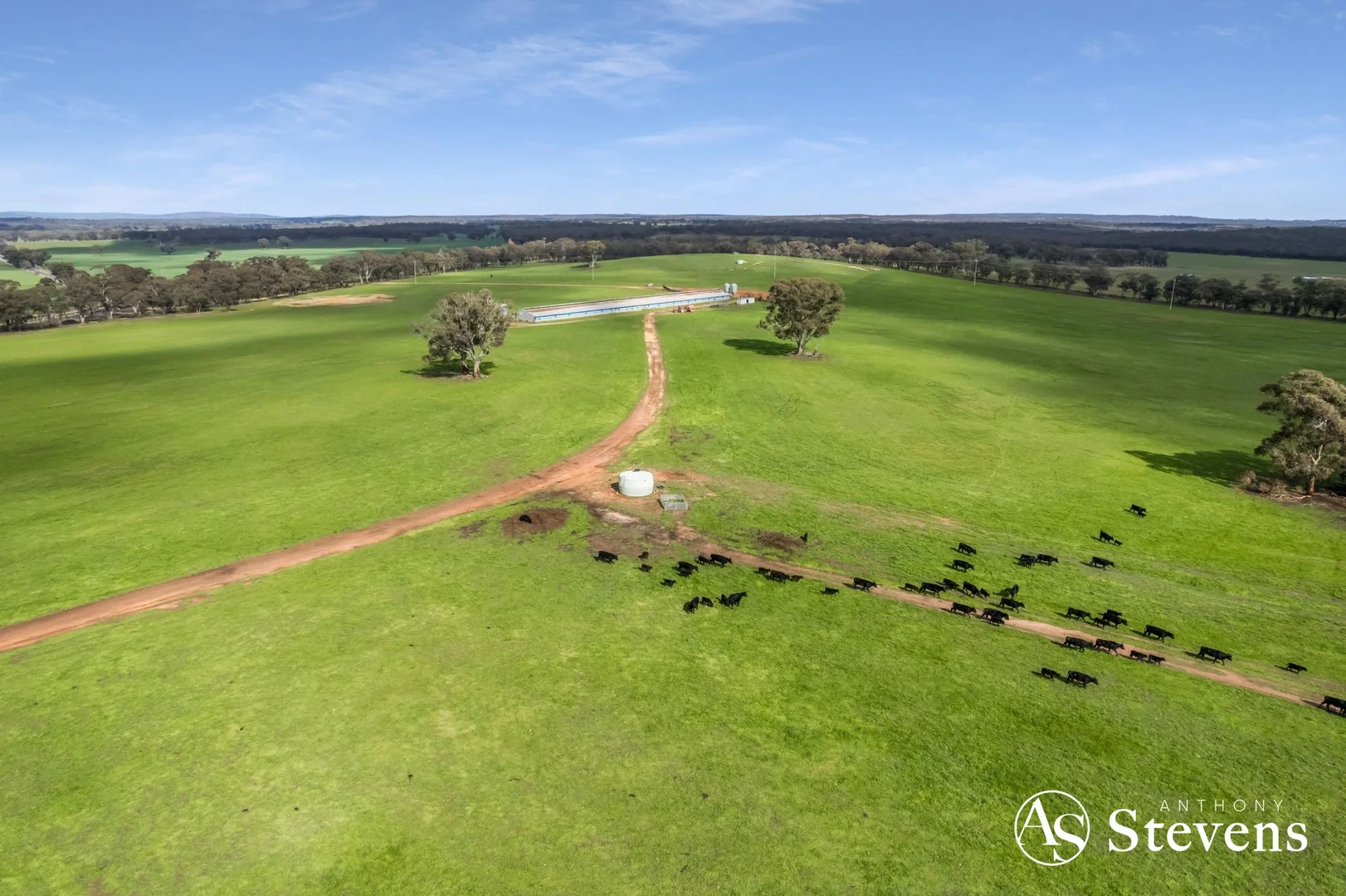 Additional image 11 of 499 Old Wedderburn Road, Slaty Creek VIC 3477