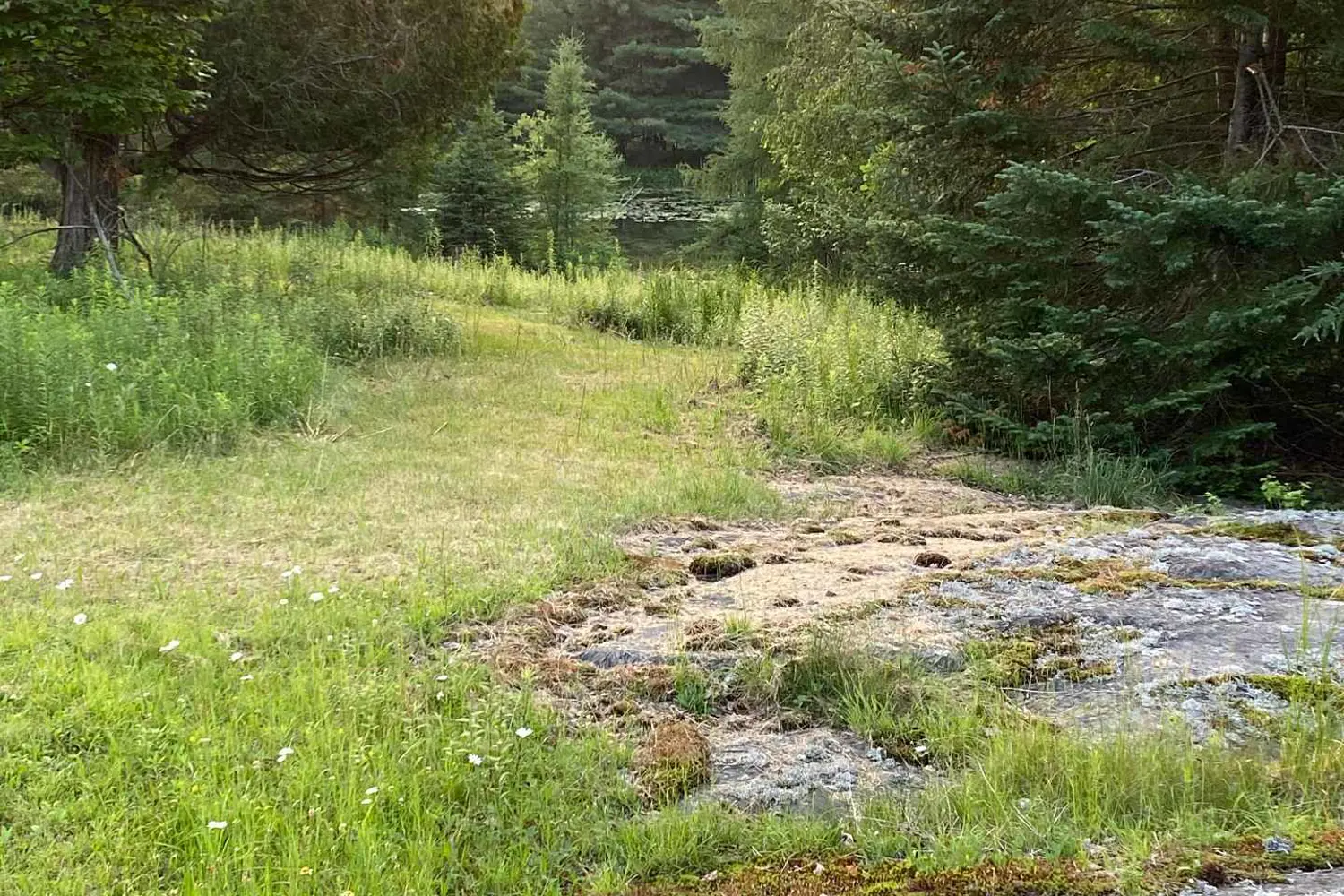 Additional image 16 of 204 Mineral Springs Road