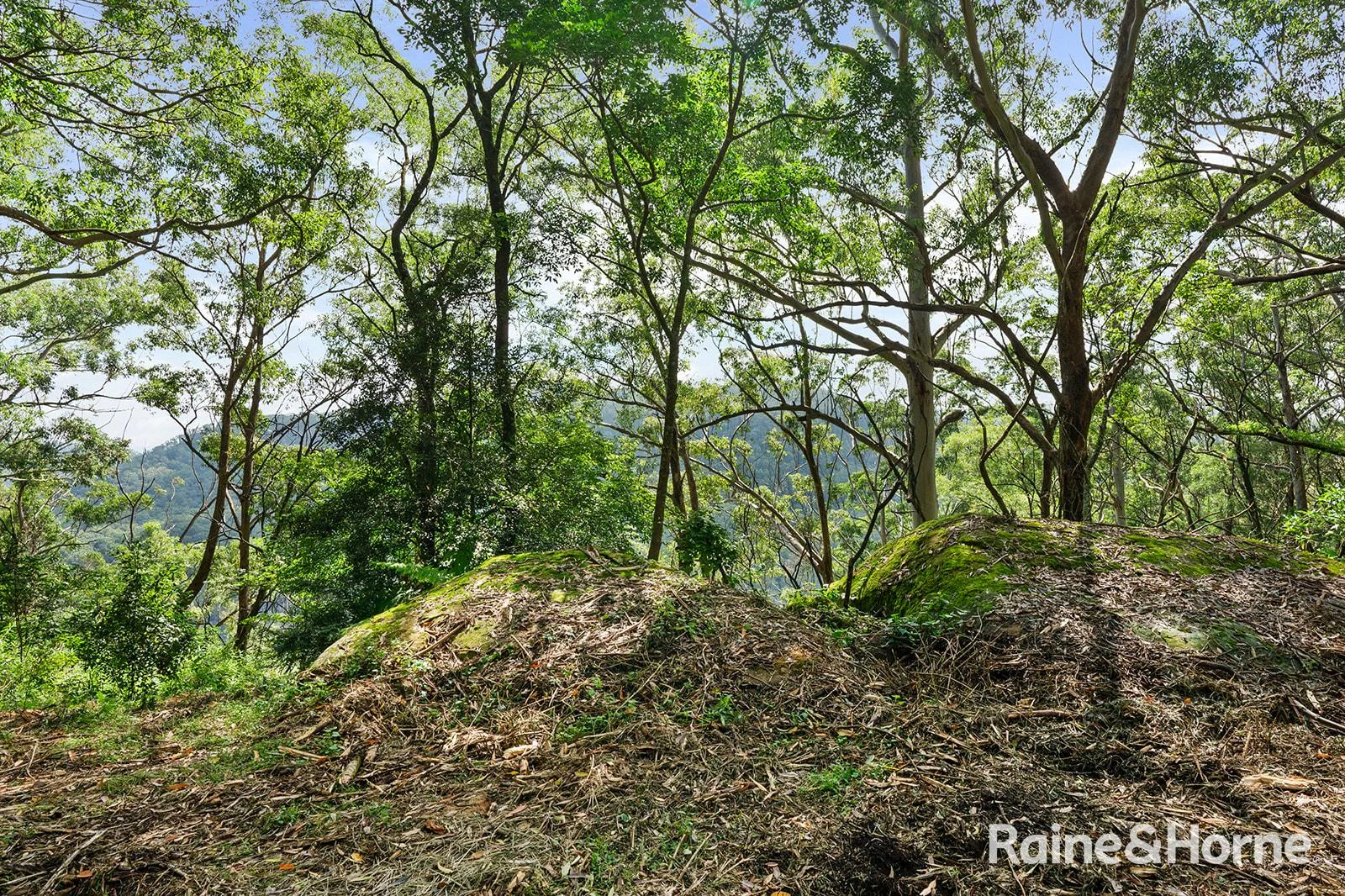 Additional image 18 of Lot 1 Selbys Road, Budgong NSW 2577