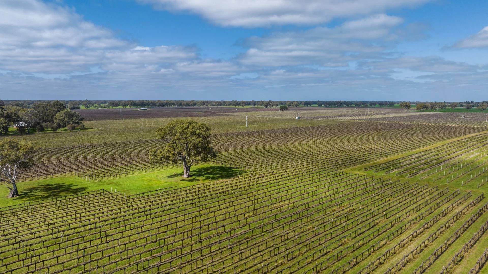 Additional image 18 of 148 McLean Road, Coonawarra SA 5263