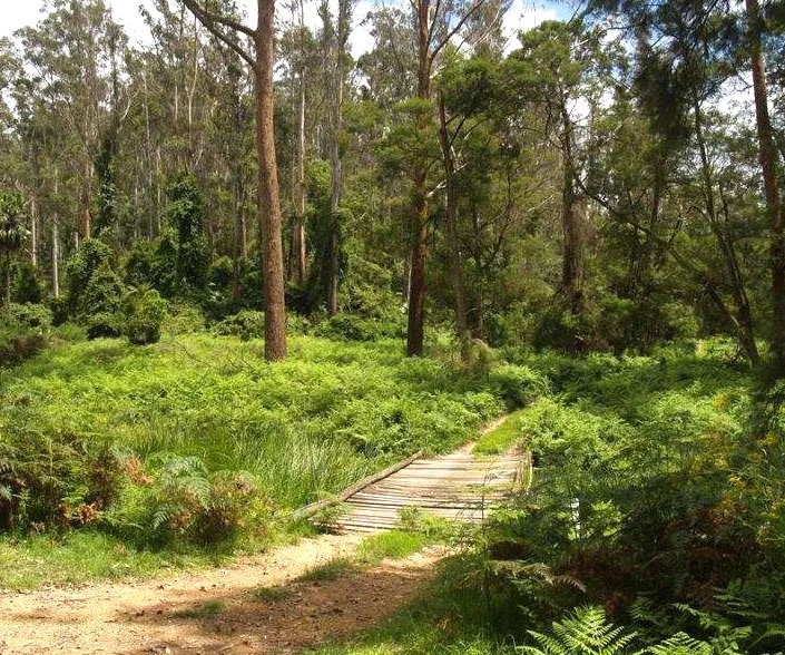 Additional image 21 of 328 Knights Creek Road, Murrah NSW 2546