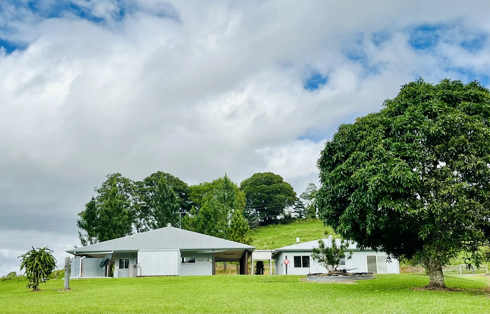 1297 Mossman - Mt Molloy Rd, Julatten QLD 4871