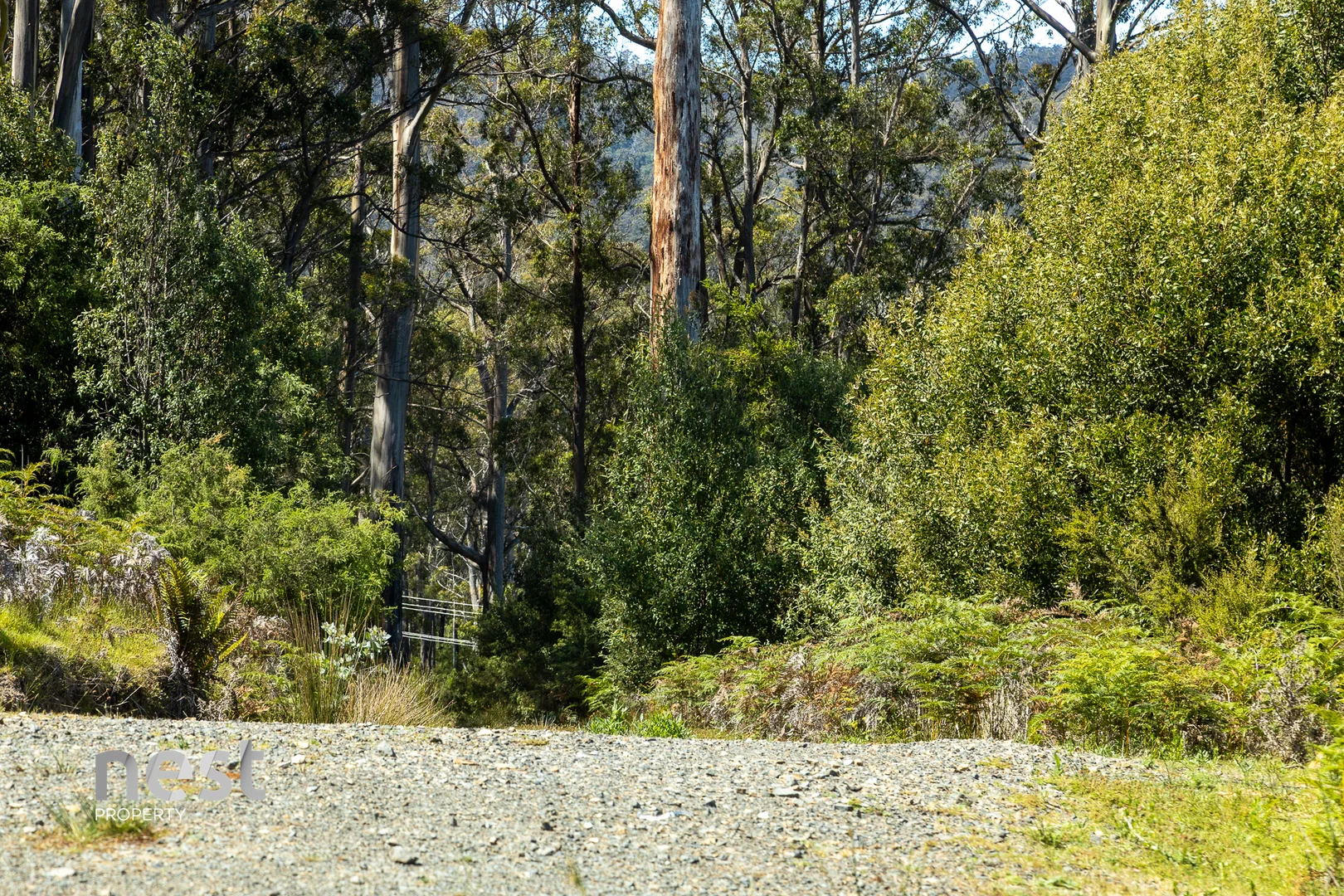 Additional image 16 of 4736 Arthur Highway, Murdunna TAS 7178