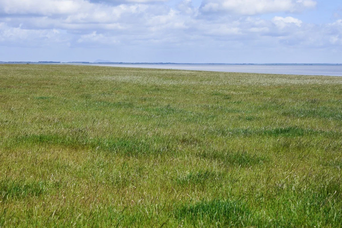 Additional image 12 of 745 South Dreeite Road, Dreeite South VIC 3249