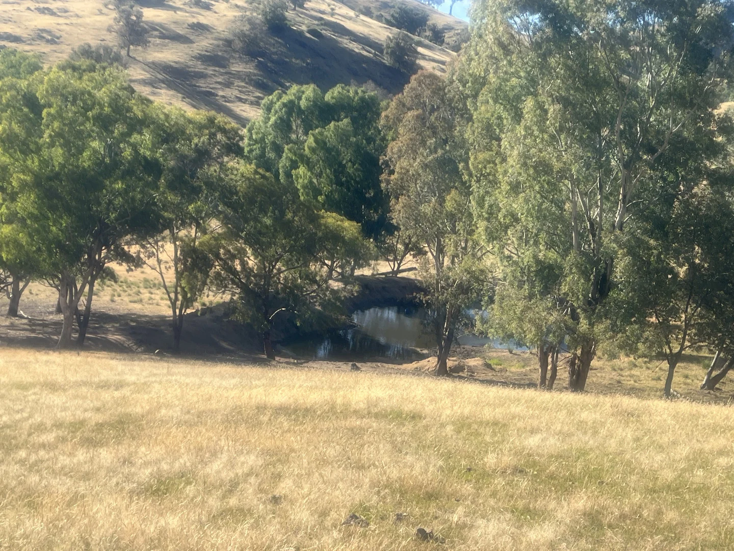 Additional image 11 of Lot 31 Lehmans Road, Talgarno VIC 3691
